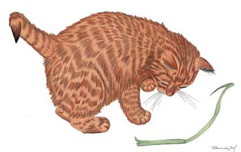 Junge Katze mit Gras