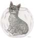 Katze im Goldfischglas