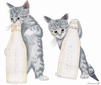 Katze mit Milchflasche